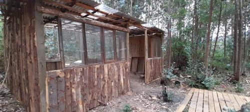 Pelluhue Other | Glamping El Risco