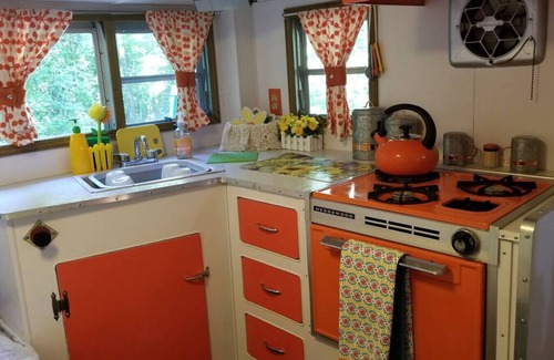 Bryson City RV Rental | Glamping in a 1965 Vintage Camper!
