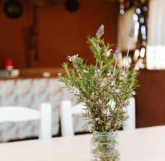 San Javier Other | Glamping Traslasierra Carpa Sur