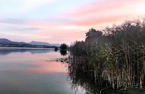 Seekirchen am Wallersee House | Glamping Wallersee - Unter dem Kastanienbaum