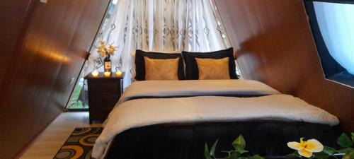 Tota Other | Glamping y Cabañas el Encanto-Girasoles