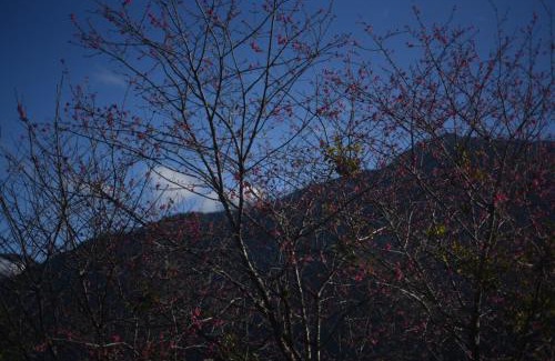 Xinyi Bed & Breakfast | GO Bill B&B