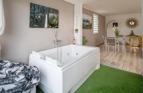 Pointe-a-Pitre Apartment | Goldy House, logement vue mer , jacuzzi 10min port et aéroport