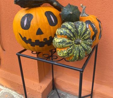 Padova House | Good vibe room