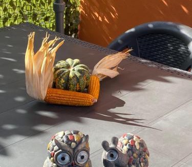 Padova House | Good vibe room