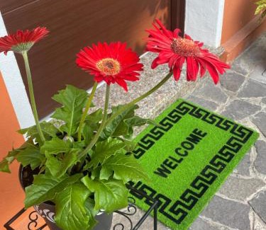 Padova House | Good vibe room