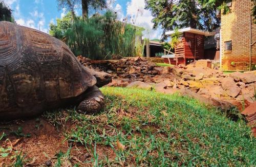 Bedfordview Hotel | Goodnight Guest Lodge