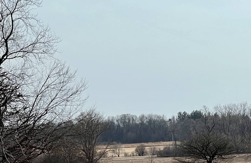 Russell House | GORGEOUS 84 ACRE, 8 BEDROOM, 7 BATHROOM ESTATE WITH PRIVATE POOL!