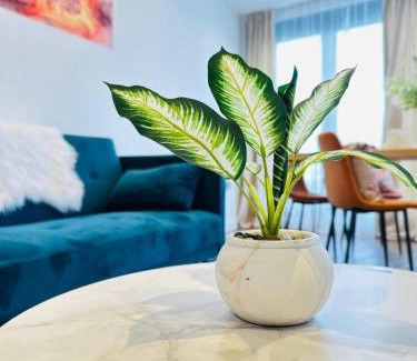 Brentwood Apartment | Gorgeous two bedroom luxury Apartment sleeps 6