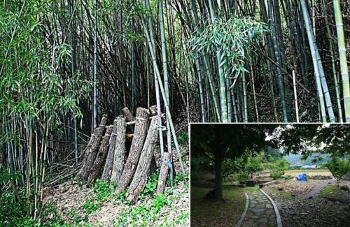 Hail-myeon House | Goseong Choi Pil Khan Gotek