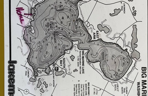 Marine on St. Croix House | Grace on the Lake - Cozy home on Big Marine Lake