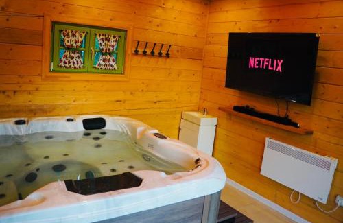 Viseu de Mijloc House | Gradina Lu' Ion "A Home Away From Home"