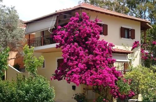 Episkopos Apartment | Grammatoula Apartment