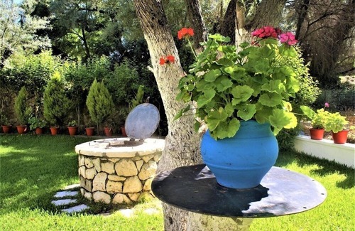 Episkopos Apartment | Grammatoula