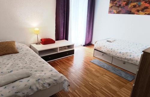 Leymen Apartment | Grand appartement frontière suisse