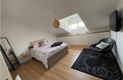 Poitiers Apartment | Grand Appartement Hypercentre avec Terrasse et Parking