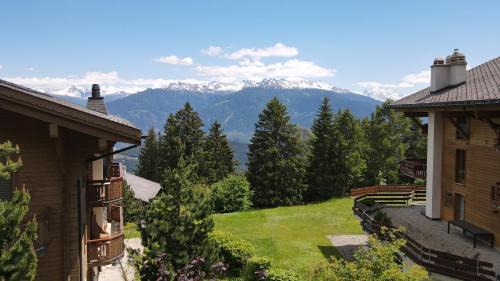 Anzere Ski Chalet | Grand chalet au centre