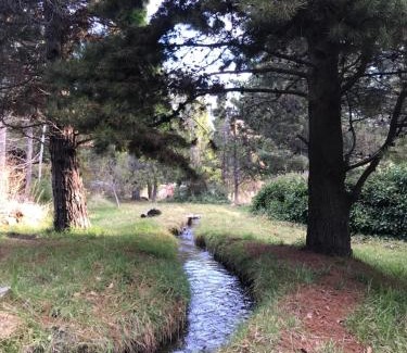 Trevelin Ski Chalet | Grand Cottage