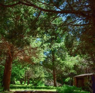 Trevelin Ski Chalet | Grand Cottage