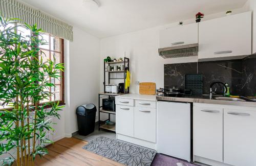 Le Pin Apartment | Grand logement 38m2, Aéroport Paris CDG, Disneyland Paris 20min, Parc Astérix, 1 Chambre, 1 Salon