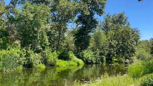 Kaweah House | Grand Riverside Retreat - Private Walkway to the River