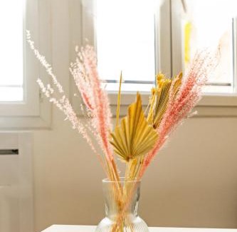 Castres Apartment | Grand T1 bis de charme tout équipé