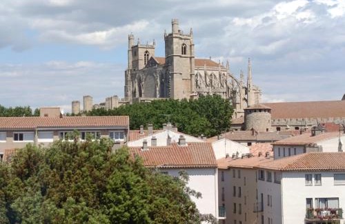 Centre Historique Apartment | Grand T2 50m2 Narbonne centre, vue sur cathédrale