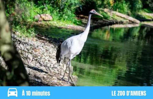 Saint-Acheul Apartment | GRAND T2 GARE AMIENS TOUT CONFORT 2PERS WIFI