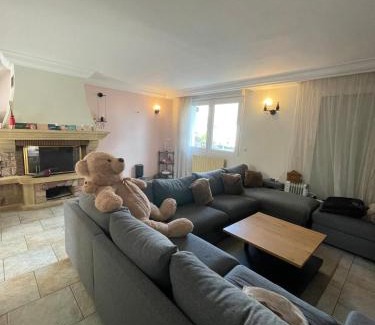 Le Blanc-Mesnil Bed & Breakfast | Grande maison avec jardin