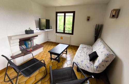 Liffol-le-Grand House | Grande maison avec jardin