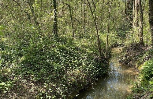 Terraube Other | Grande Maison en Campagne. A 10 Minutes de Lectoure