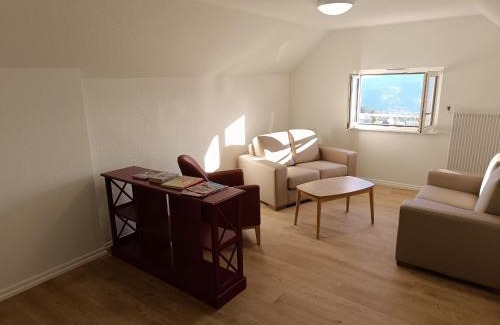 Hohrodberg House | Grande maison, jusqu’à 14 personnes, calme entre forêt et montagne - FR-1-744-47