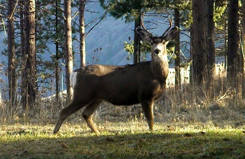 Troy House | Grande Ronde vacation rentals