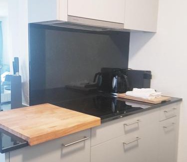 Enge Hotel | GRANDE SUITE with kitchen dish washer, dryer washer