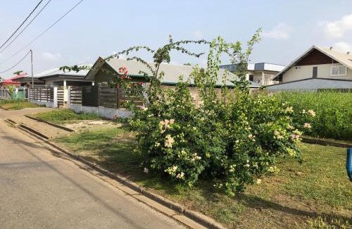 Noord Apartment | Grapefruitstraat