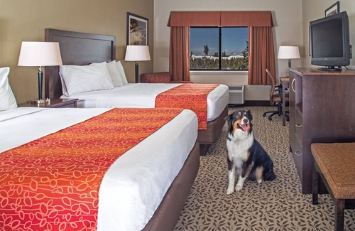 West Yellowstone Hotel | Gray Wolf Inn & Suites