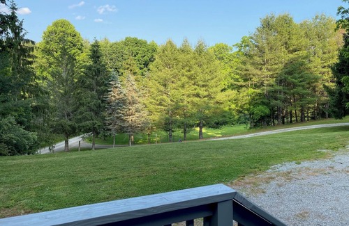 Mouth of Wilson House | Grayson Gravel Traverse Gem: 2/2 with Charming Outdoor Bath House - Sleeps 6