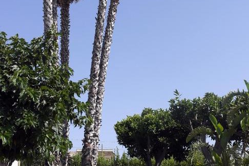 San Lorenzo Apartment | Graziosa Mansarda in Villa a San Lorenzo/Marzamemi