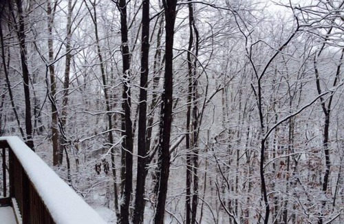 McGaheysville House | Great Five-Bedroom Massanutten Lodge for You to Relax -Military Discounts Avail