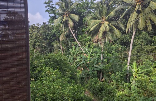 Wanchawala House | Great holiday home for a nomad