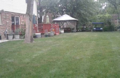 Olympia Fields House | Great Suburban Living!