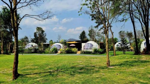 Khanong Phra Other | Greatland Glamping Khao Yai Resort
