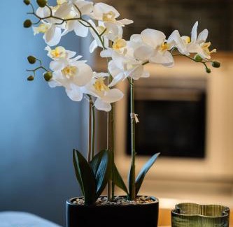 Villiers-sur-Marne Apartment | Green Dream Proximite Paris & Disneyland