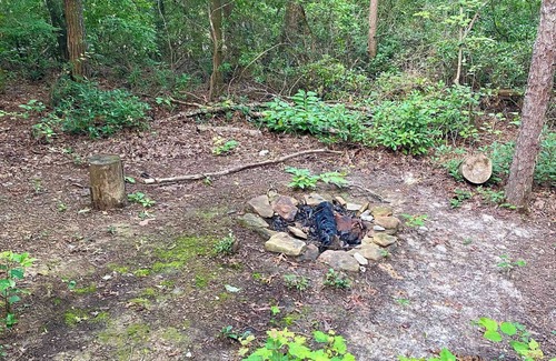 Primrose RV Rental | Green Heron’s Nest- Cozy Glamping Tent in RRG