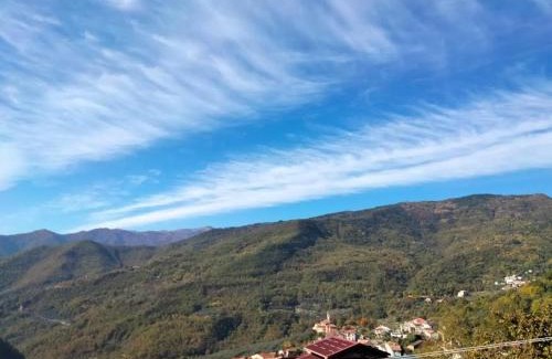 Moano Apartment | Green House 2.0