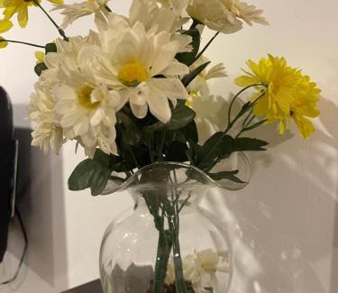 Nathia Gali Apartment | Green Oasis