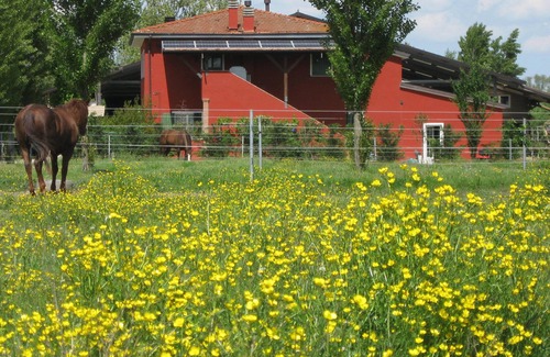 Badia Polesine House | Green Room . nature and relaxation among grazing horses .