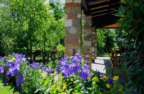 Badia Polesine House | Green Room . nature and relaxation among grazing horses .