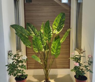 Tawau Hotel | Greenery Rooms