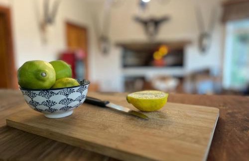 Inxuba Yethemba House | Grey Ghost Lodge